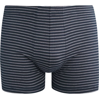 Herren Retroshorts mit Streifen