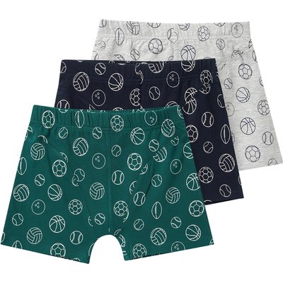 3 Jungen Boxer