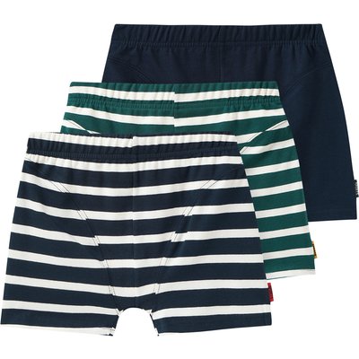 3 Jungen Boxer