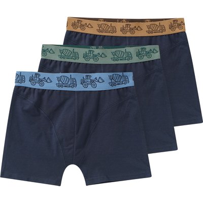3 Jungen Boxer mit Baufahrzeugen
