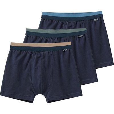 3 Jungen Boxer unifarben