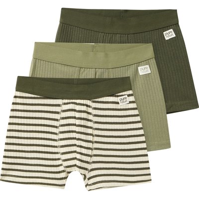 3 Jungen Boxer mit Rippstruktur