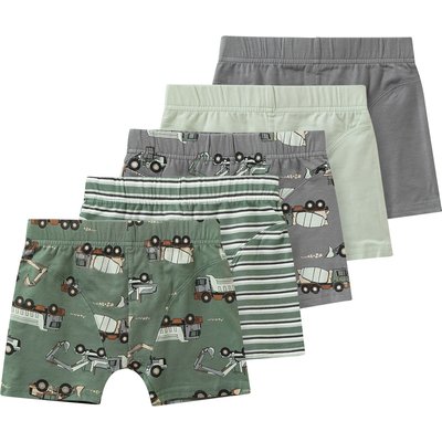 5 Jungen Boxer
