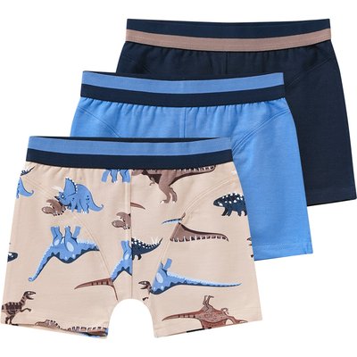 3 Jungen Boxer mit Dino-Motiven