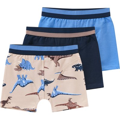 3 Jungen Boxer mit Dino-Motiven