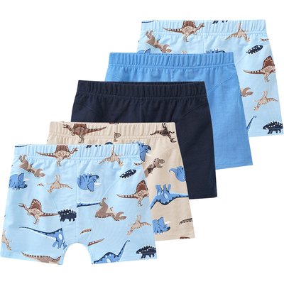 5 Jungen Boxer im Set