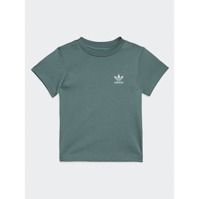 adidas T-Shirt adicolor IC9105 Grün Regular Fit