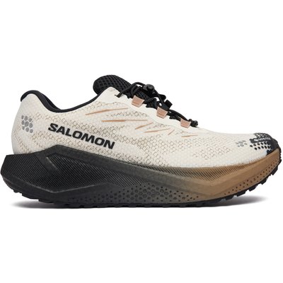 Laufschuhe Salomon Aero Blaze 4 gtx GORE-TEX L45403200 Beige