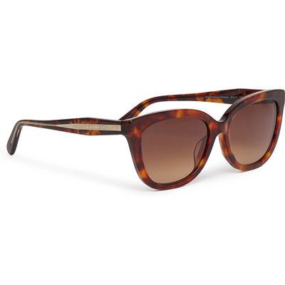 Sonnenbrillen Coach 0HC8453U 593874 Braun