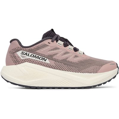 Laufschuhe Salomon Aero Blaze 3 Grvl W L49218000 Beige