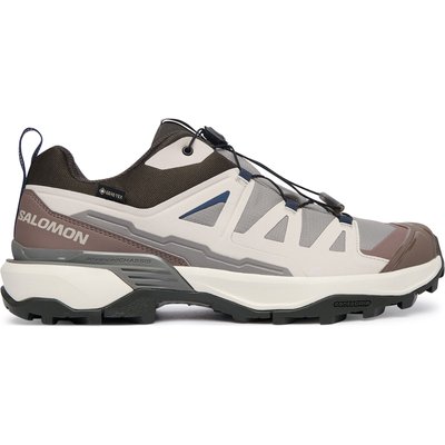 Trekkingschuhe Salomon X Ultra 360 Gtx L45395200 Braun