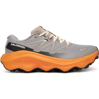 Laufschuhe Salomon Ultra Flow 2 Gore-Tex L47884200 Grau