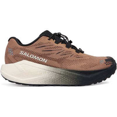 Laufschuhe Salomon Aero Blaze 4 L45400500 Braun