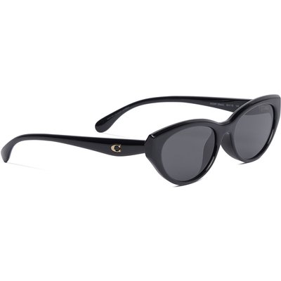 Sonnenbrillen Coach 0HC8456D 500287 Schwarz