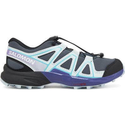 Trekkingschuhe Salomon Speedcross L47733200 Grau