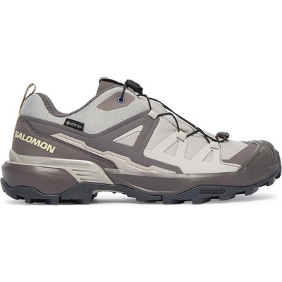 Trekkingschuhe Salomon X Ultra 360 GORE-TEX L45391800 Beige