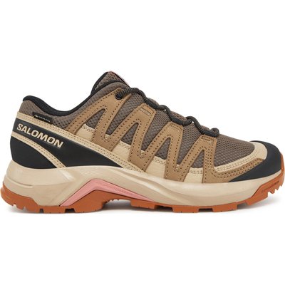 Trekkingschuhe Salomon X-Adventure Recon Gore Tex L47815500 Braun