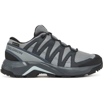 Trekkingschuhe Salomon X-Adventure Recon Gore Tex L47813300 Grau