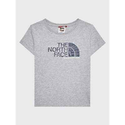The North Face T-Shirt Graphic NF0A7X5B Grau Regular Fit