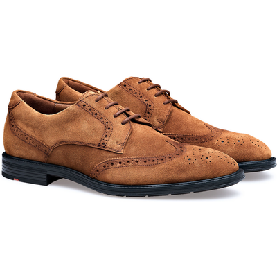 Lloyd | Braun | 42 | Rauleder | X-motion 140