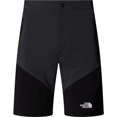 The North Face Herren Felik Slim Tapered Shorts