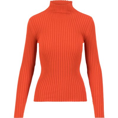 Blutsgeschwister Damen Jazz & Chill Pullover