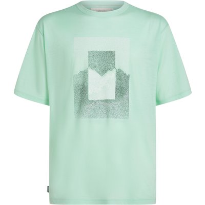 Icebreaker Herren 150 Tech Lite Mountain Shift T-Shirt