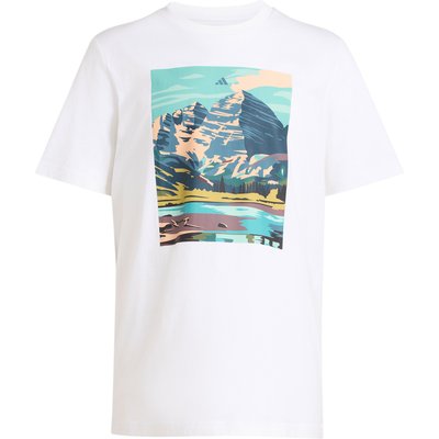 adidas Terrex Herren Nature T-Shirt