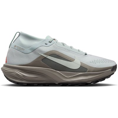 Nike ACG Damen Pegasus Trail GTX Schuhe