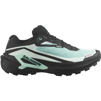 Salomon Damen Genesis 2 GTX Schuhe