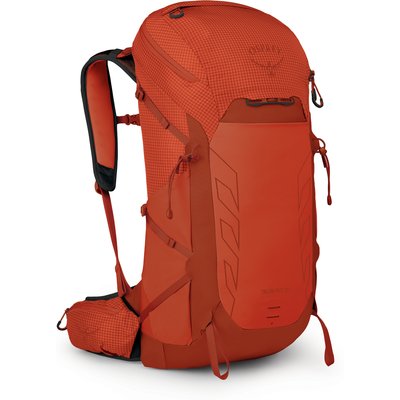 Osprey Talon Pro 30 Rucksack