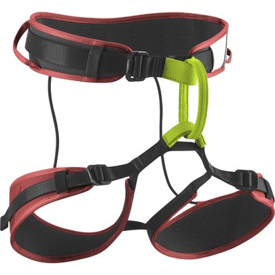 Edelrid Zack Gym Klettergurt