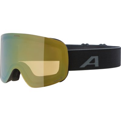 Alpina Penken Q Skibrille