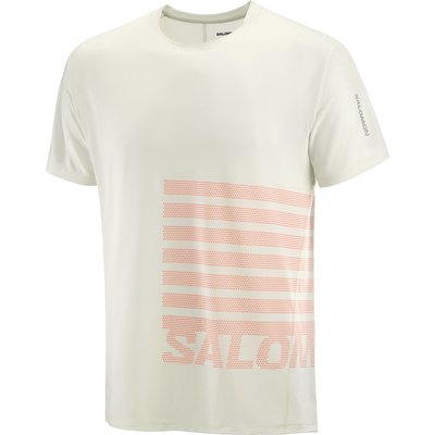 Salomon Herren Sense Aero GFX T-Shirt
