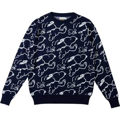 Brava Fabrics Herren Peanuts Jacquard Pullover