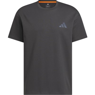 adidas Terrex Herren Xploric GFX T-Shirt