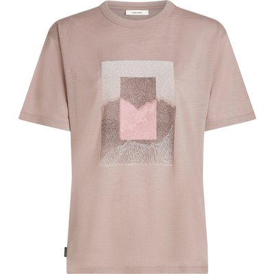 Icebreaker Damen 150 Tech Lite Mountain Shift T-Shirt