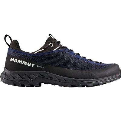 Mammut Herren Alnasca IV Low GTX Schuhe