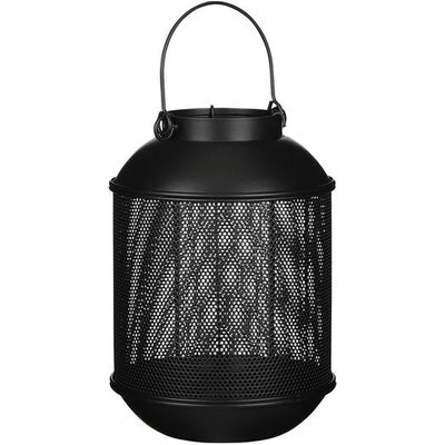 Edelman Laterne Borneo