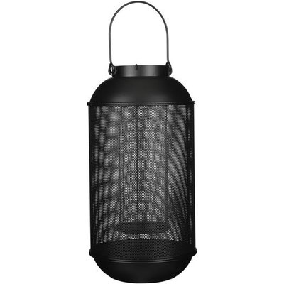 Edelman Laterne Borneo