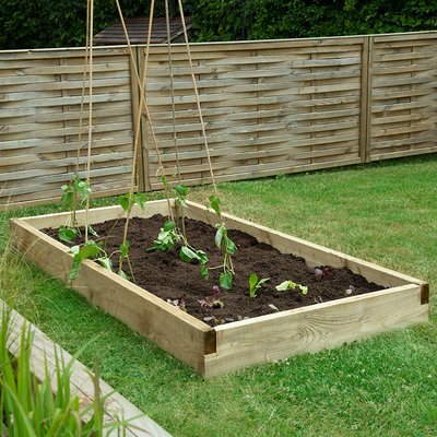Forest Caledonian Large Raised Bed 3