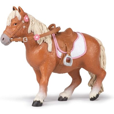 Shetland Pony With Saddle