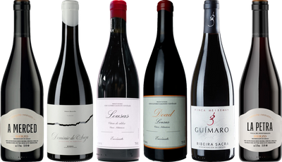 Mencia Premium Tasting Case