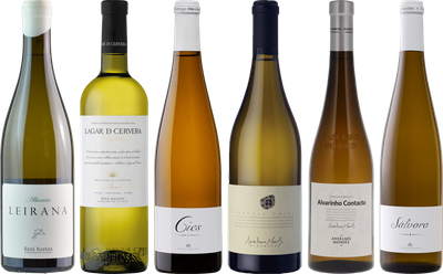 Albarino Premium Tasting Case