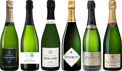 Top Value Champagne Tasting Case