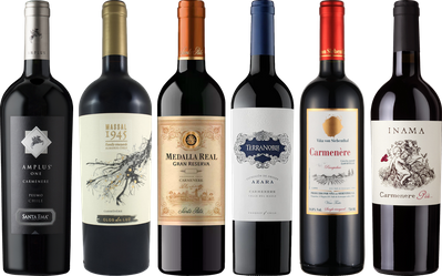 Carmenere Tasting Case