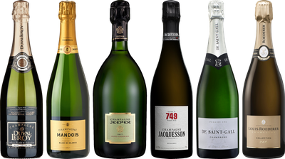Champagne Premium Tasting Case
