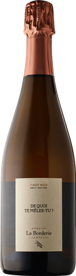 Champagne Domaine la Borderie De Quoi Te Meles Tu Blanc de Noirs Extra Brut