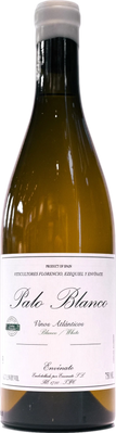 Envinate Palo Blanco 2024