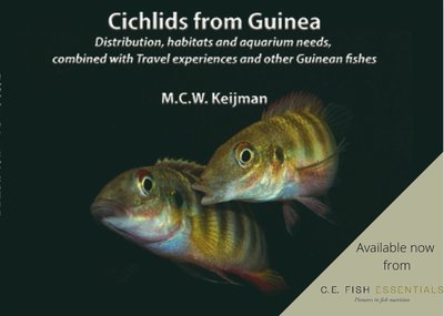 Cichlids from Guinea by Michel Keijman (Book)